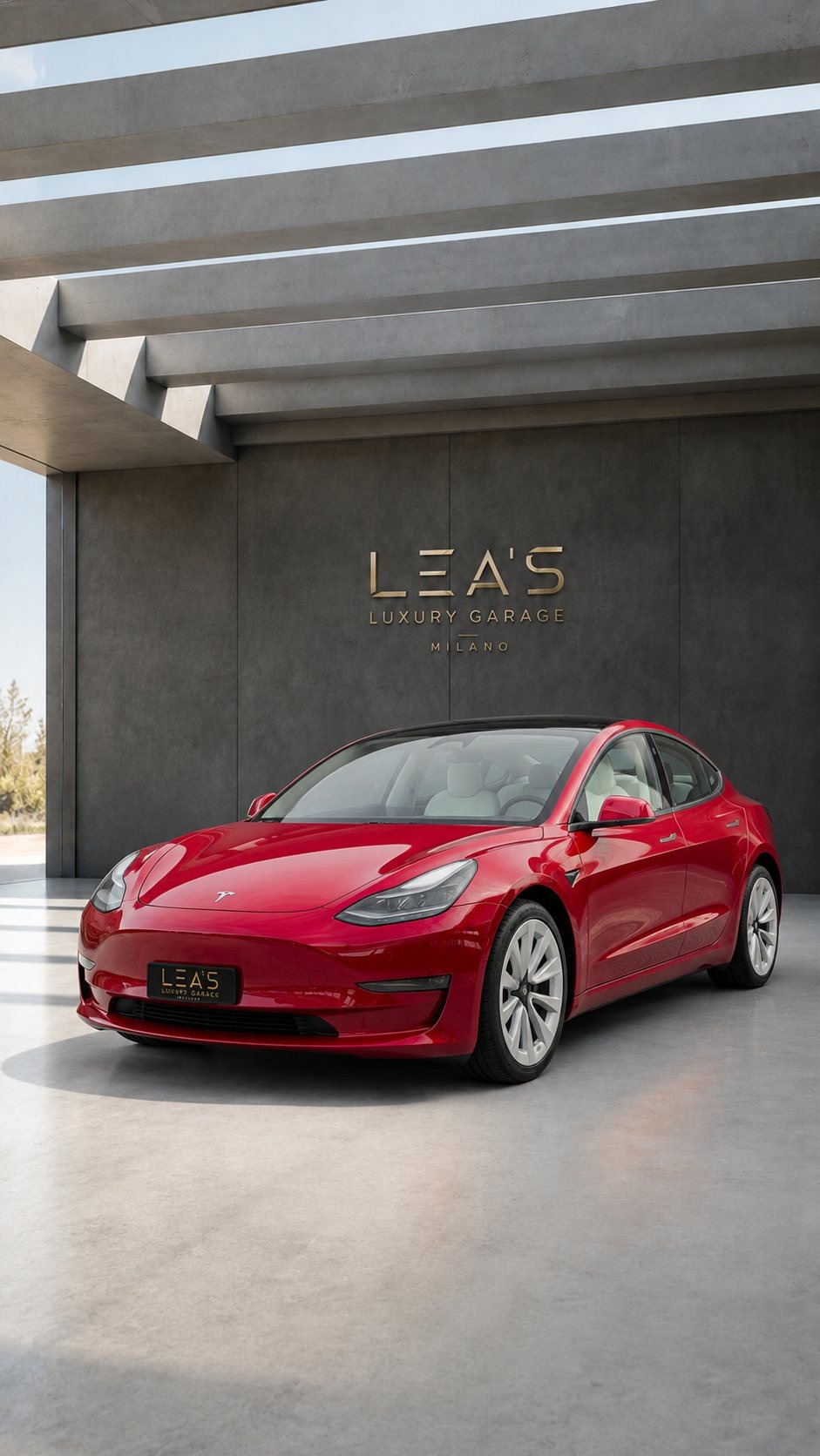 Model 3 Long Range