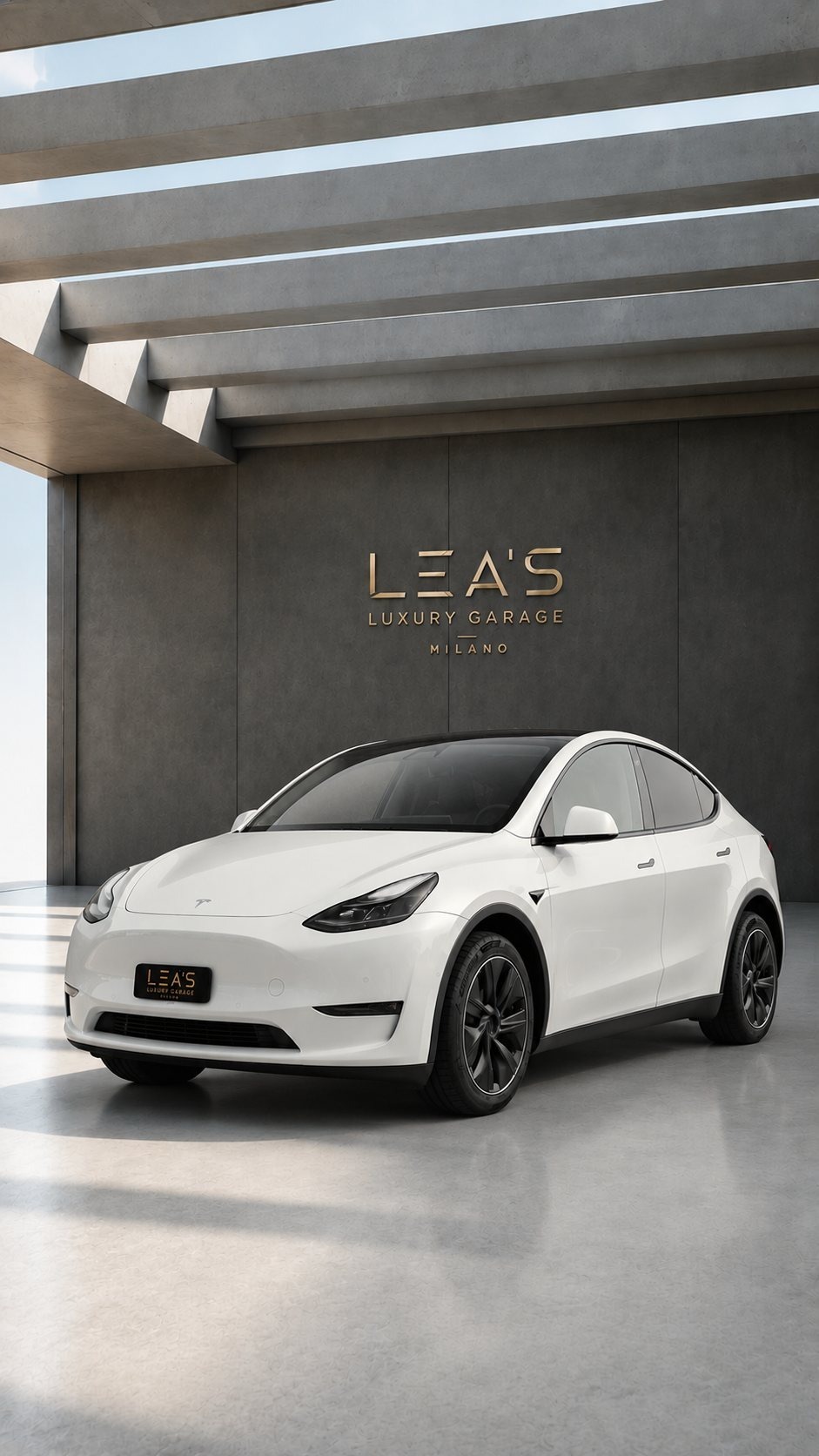Model Y Long Range